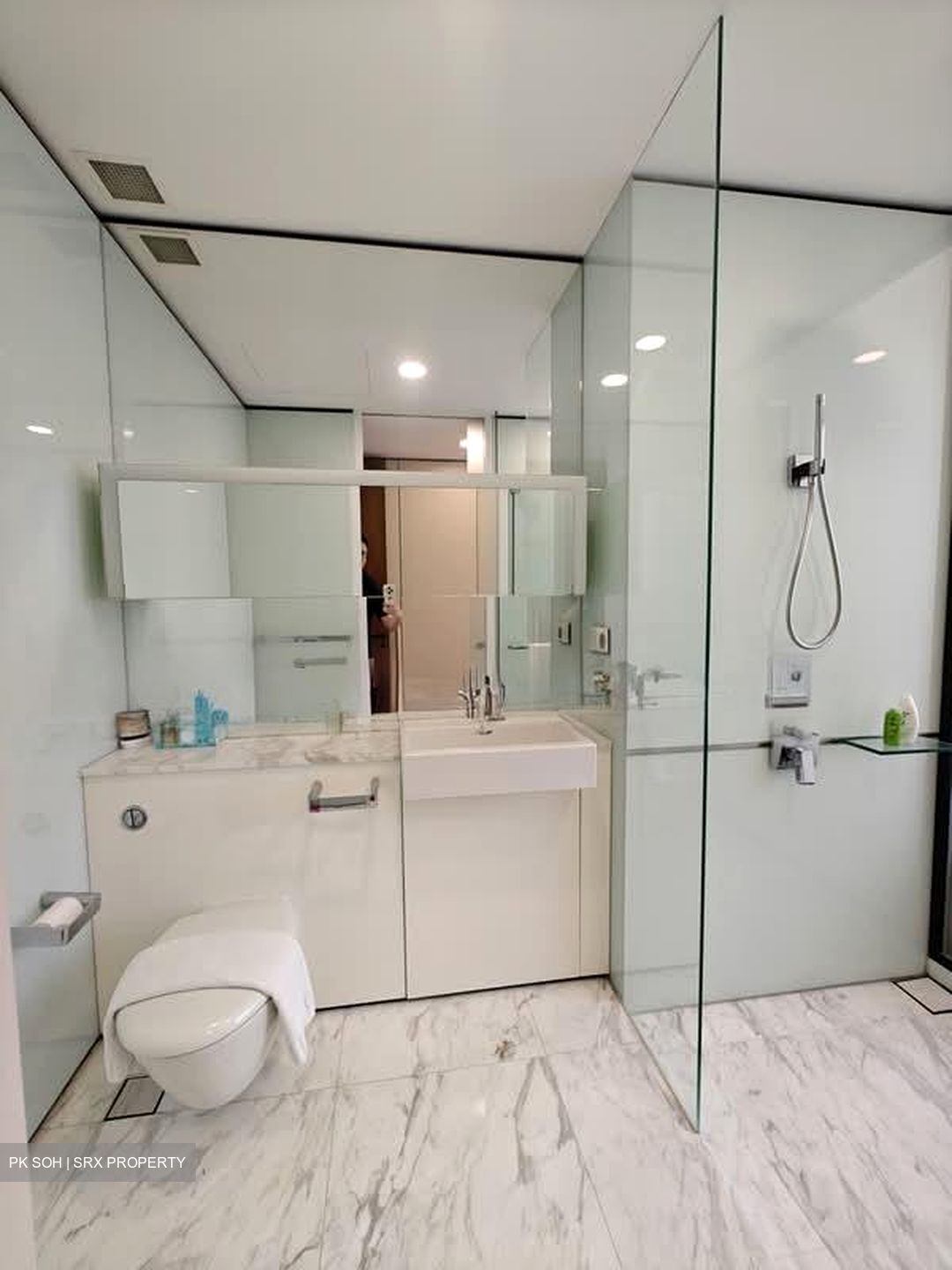 Reignwood Hamilton Scotts (D9), Apartment #575111551